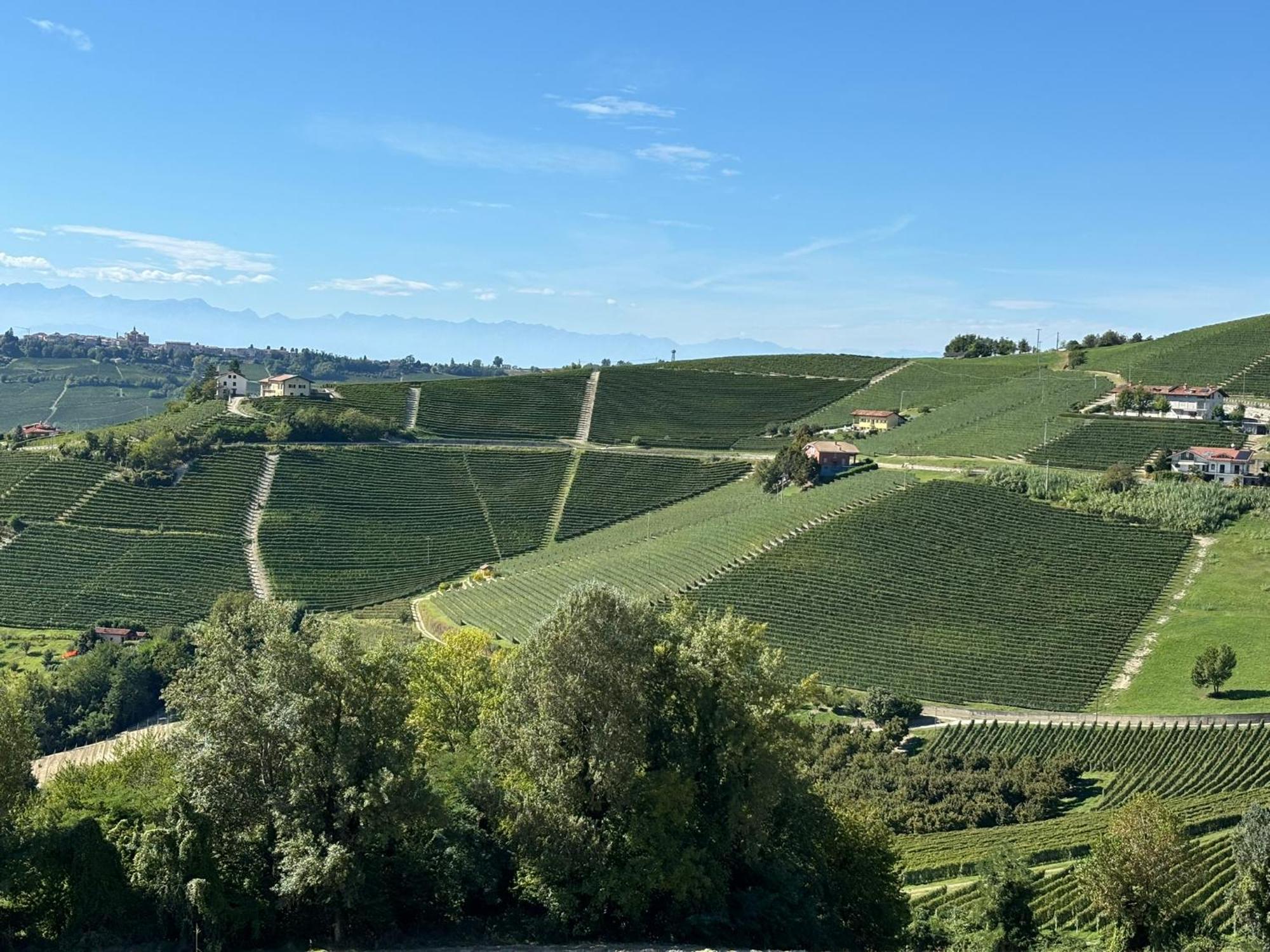 Appartamento "La Poesia Della Terra" Monforte dʼAlba Esterno foto