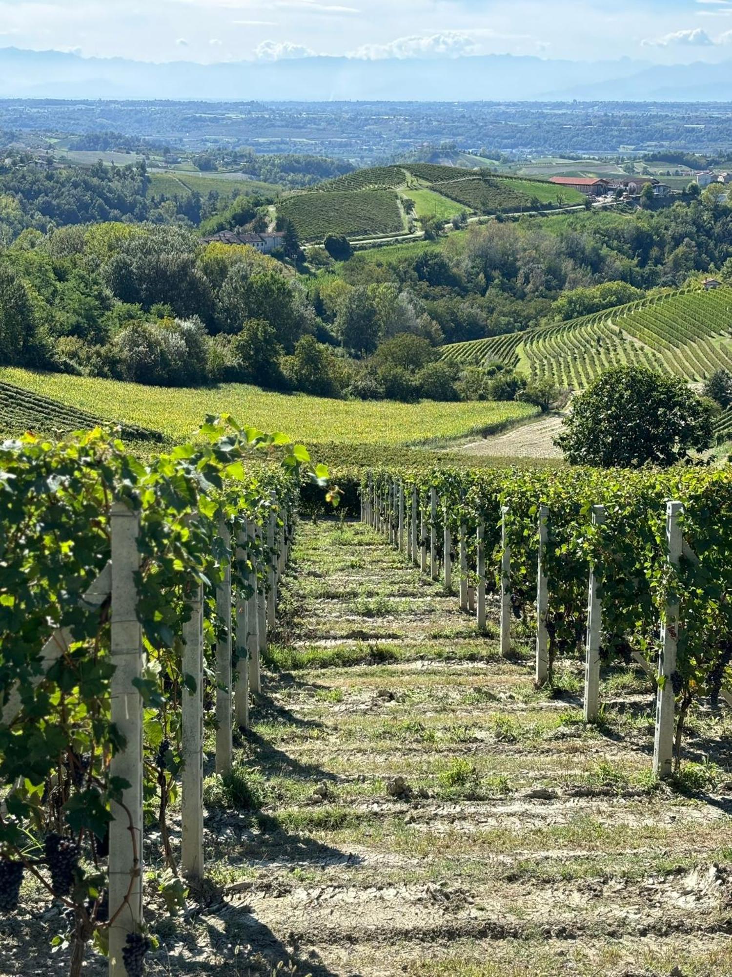 Appartamento "La Poesia Della Terra" Monforte dʼAlba Esterno foto